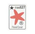 Floral coral.jpg